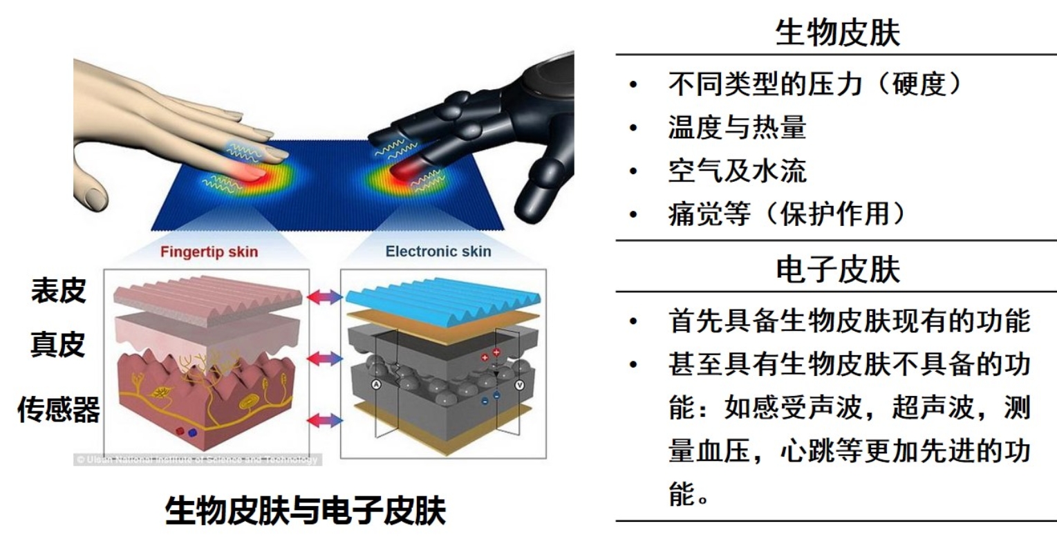 沙巴体育